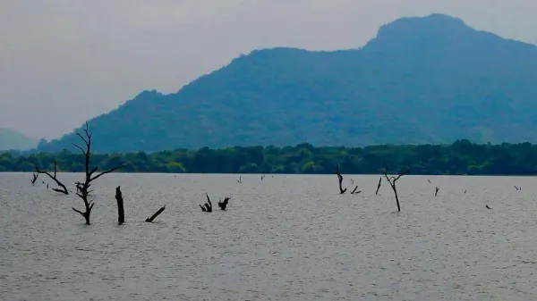 Kandalama Lake in Dambulla, Sri Lanka
