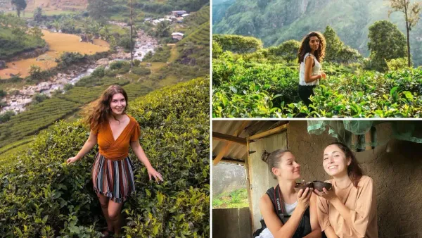 Unveiling the Enchanting World of Tea Tourism in Sri Lanka